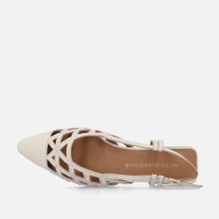 Cin Asse