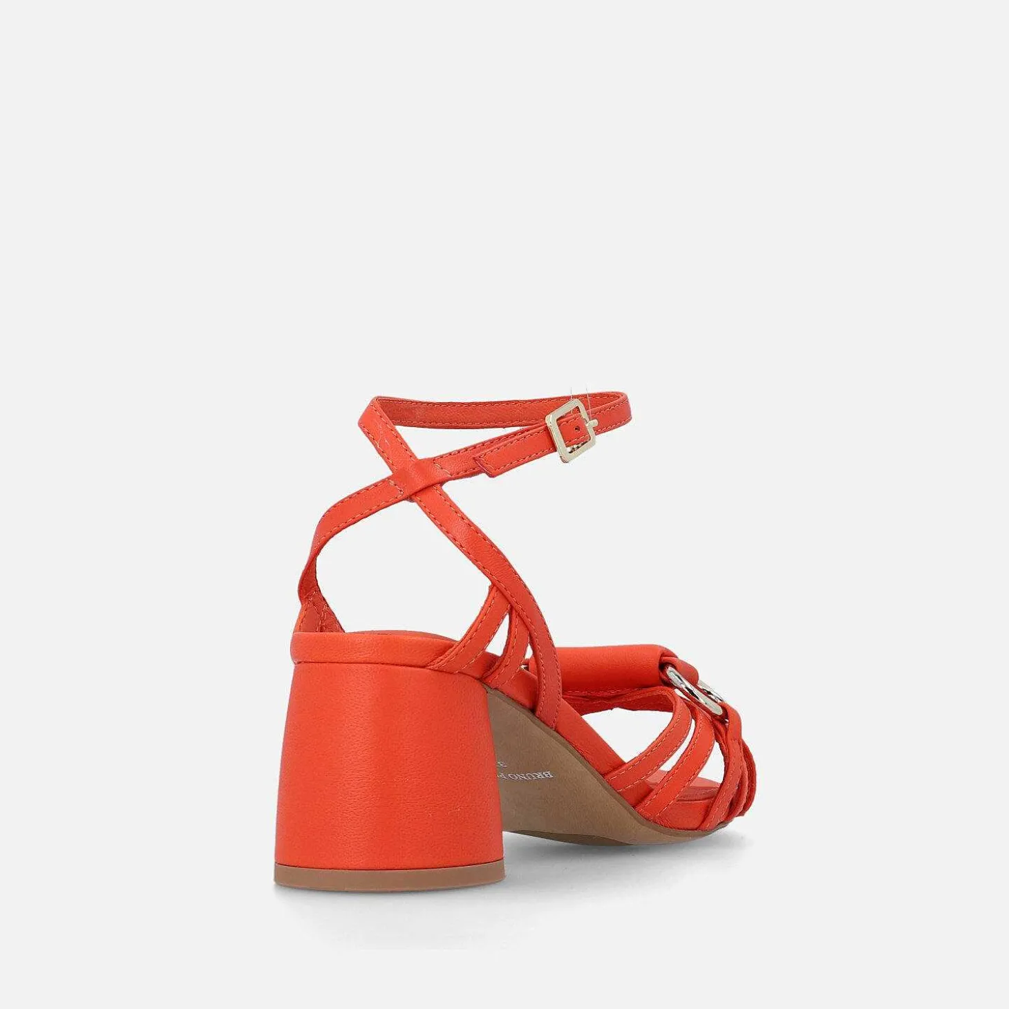 Olo Cusci